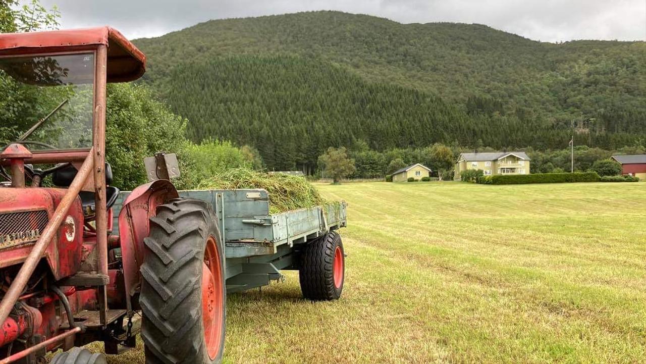 Rodseth Gardsovernatting Hytter Molde Kültér fotó